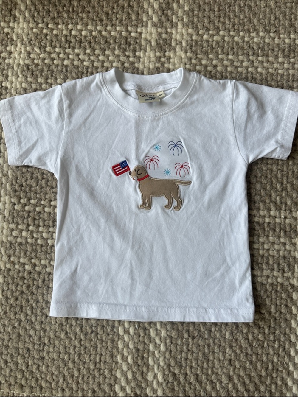 Luigi Kids T-Shirt with Dog & Fireworks Appliqué 2T EUC